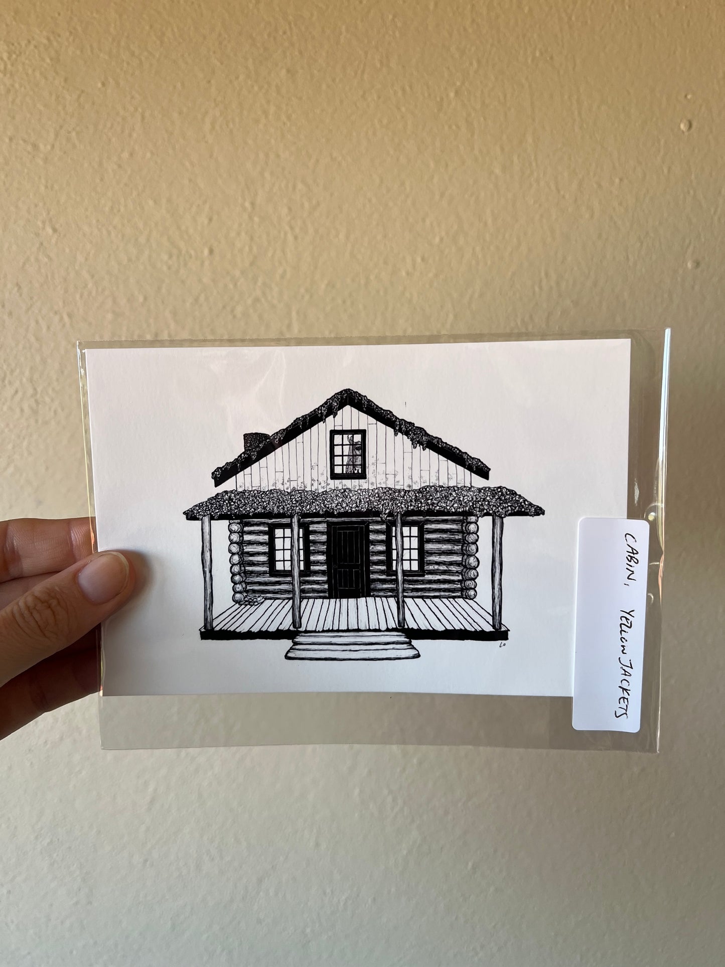 Cabin, Yellowjackets