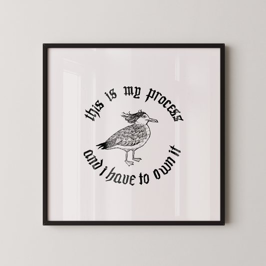 Process Seagull